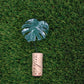 Tiny Magical Monstera Variegated Paper House Plant in Upcycled Cork - DECORATIVE MAGNET
