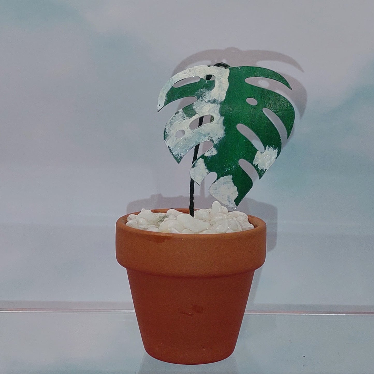 Tiny Magical Monstera Albo Paper House Plant in Clay Pot- DECORATIVE