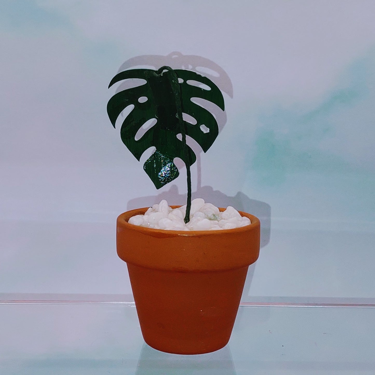 Tiny Magical Monstera Albo Paper House Plant in Clay Pot- DECORATIVE