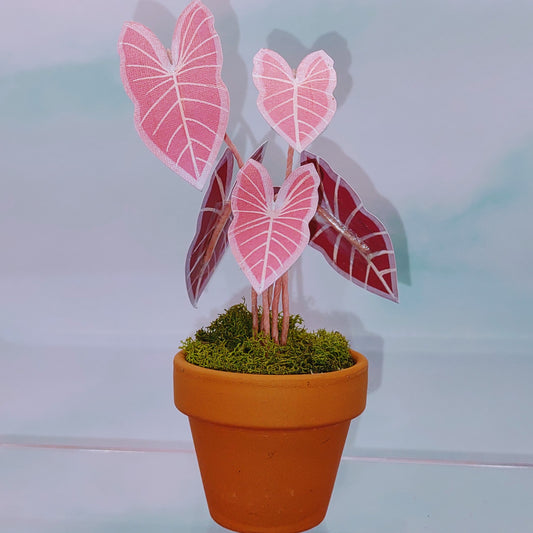 Tiny Magical Pink Caladium Paper House Plant in Clay Pot- DECORATIVE