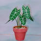 Tiny Magical Paper House Plant Alocasia in Clay Pot- DECORATIVE
