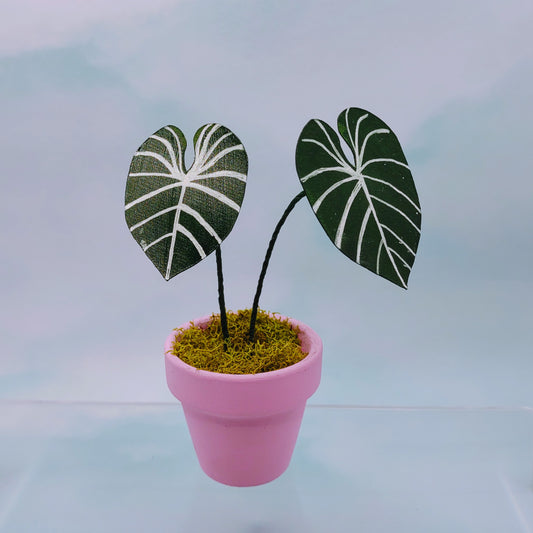 Tiny Magical Alocasia Paper House Plant in Clay Pot- DECORATIVE